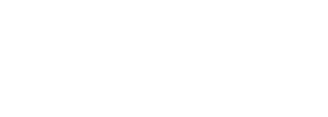Pingen logo